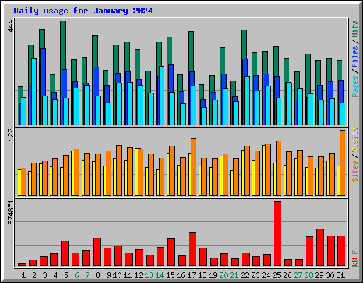 Daily usage for January 2024