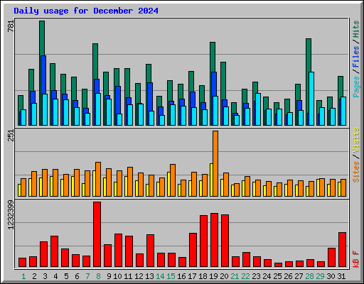 Daily usage for December 2024