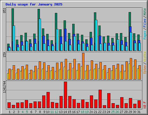 Daily usage for January 2025