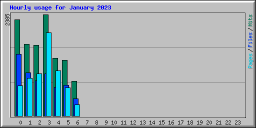 Hourly usage for January 2023