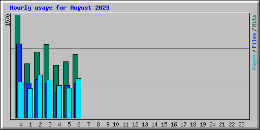 Hourly usage for August 2023
