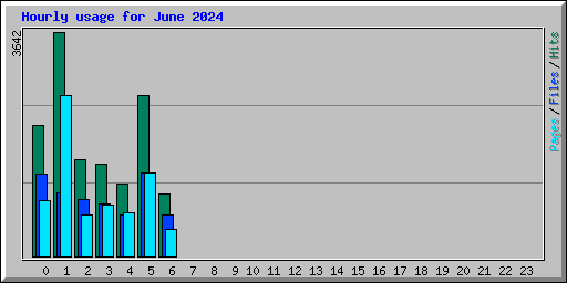 Hourly usage for June 2024