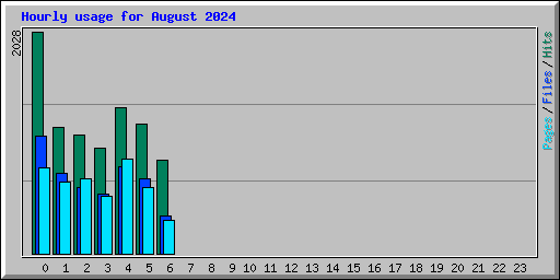 Hourly usage for August 2024