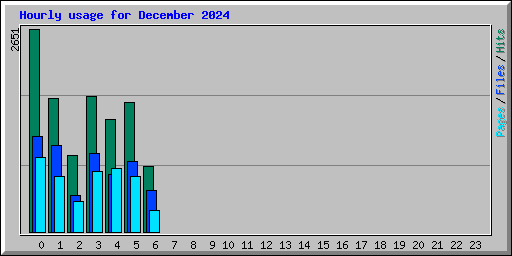 Hourly usage for December 2024