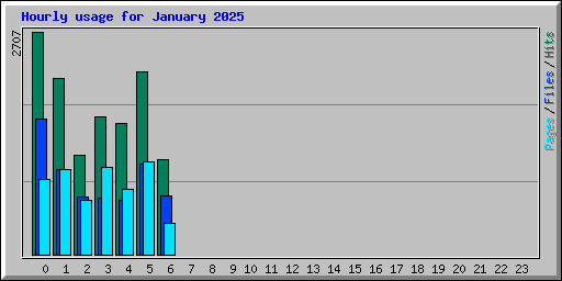 Hourly usage for January 2025