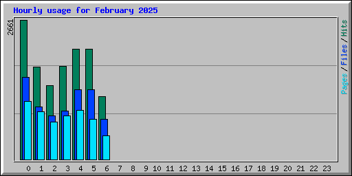 Hourly usage for February 2025