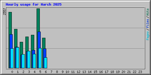 Hourly usage for March 2025