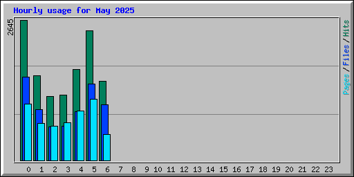 Hourly usage for May 2025