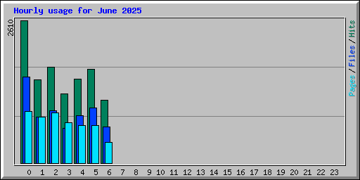 Hourly usage for June 2025