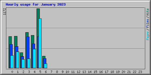 Hourly usage for January 2023