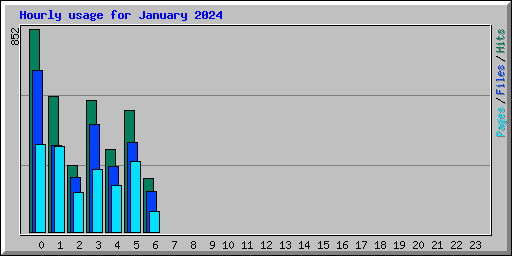 Hourly usage for January 2024