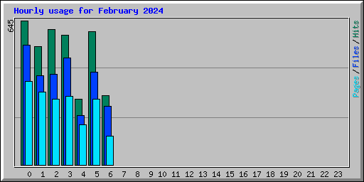 Hourly usage for February 2024