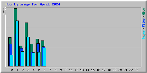 Hourly usage for April 2024