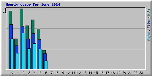 Hourly usage for June 2024