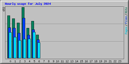 Hourly usage for July 2024