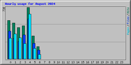 Hourly usage for August 2024