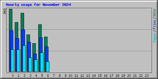 Hourly usage for November 2024