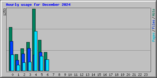 Hourly usage for December 2024