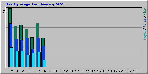 Hourly usage for January 2025