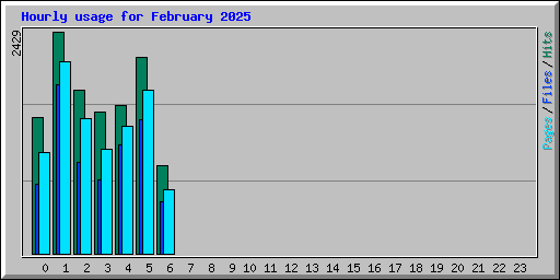 Hourly usage for February 2025