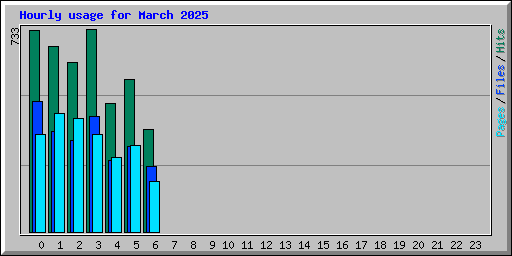 Hourly usage for March 2025