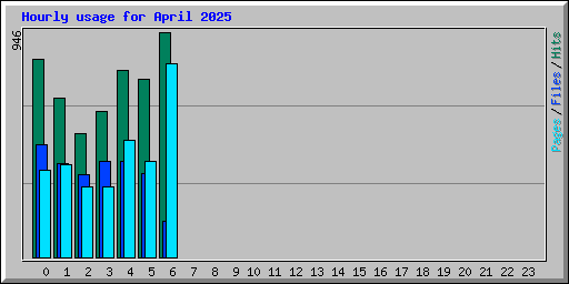 Hourly usage for April 2025