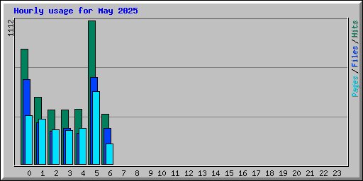 Hourly usage for May 2025