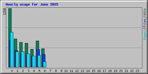 Hourly usage for June 2025