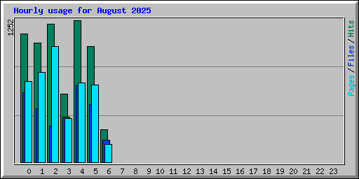 Hourly usage for August 2025