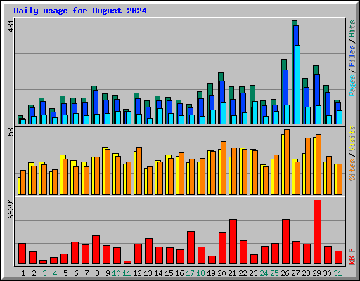 Daily usage for August 2024