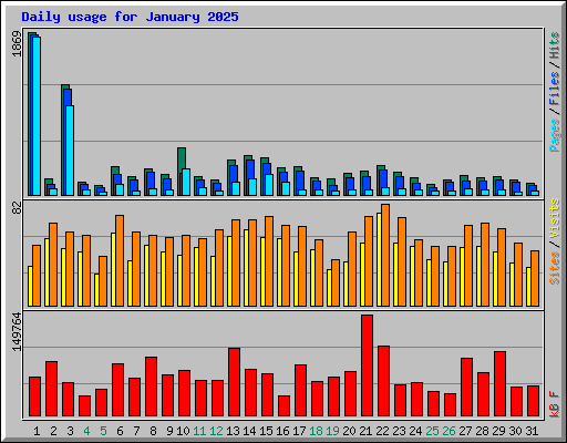 Daily usage for January 2025