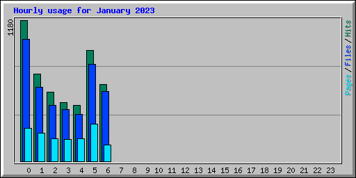 Hourly usage for January 2023