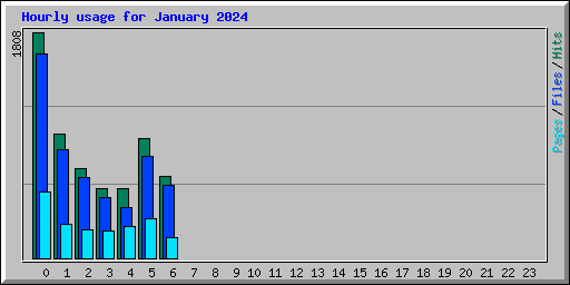 Hourly usage for January 2024