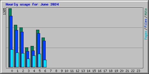 Hourly usage for June 2024