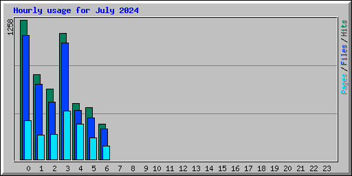Hourly usage for July 2024