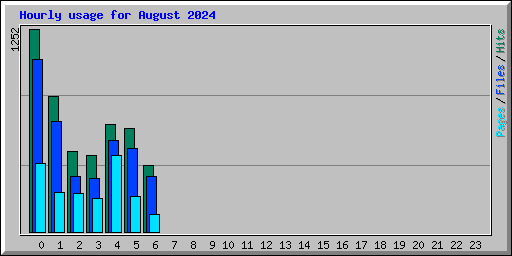 Hourly usage for August 2024