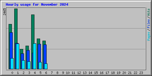 Hourly usage for November 2024