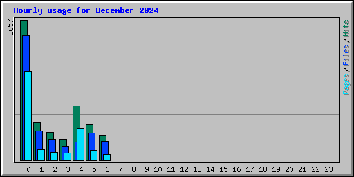 Hourly usage for December 2024
