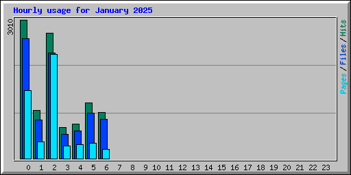 Hourly usage for January 2025