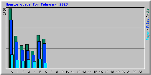 Hourly usage for February 2025