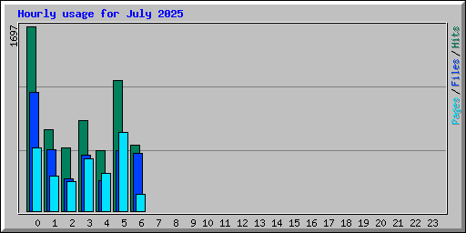 Hourly usage for July 2025