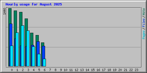 Hourly usage for August 2025