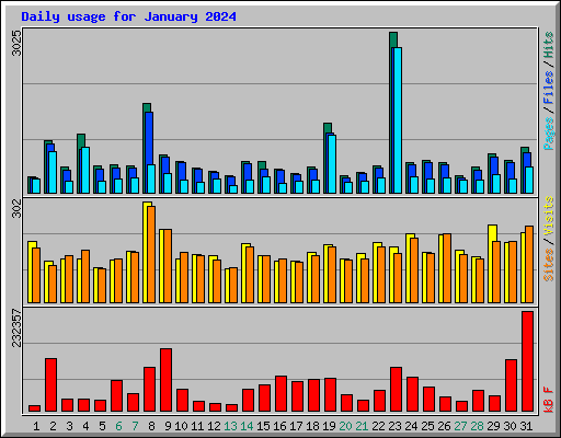 Daily usage for January 2024