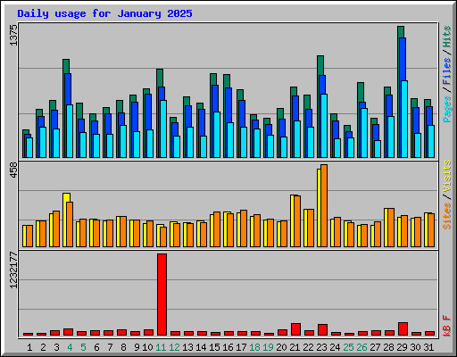 Daily usage for January 2025