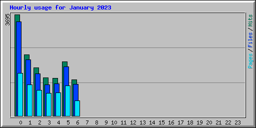 Hourly usage for January 2023