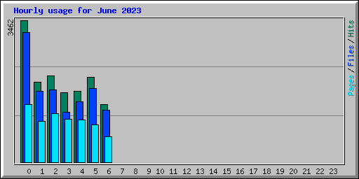 Hourly usage for June 2023