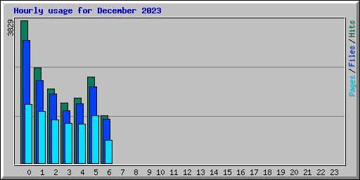 Hourly usage for December 2023