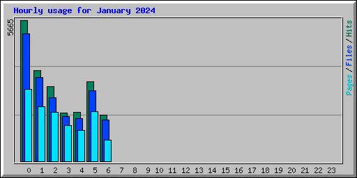 Hourly usage for January 2024