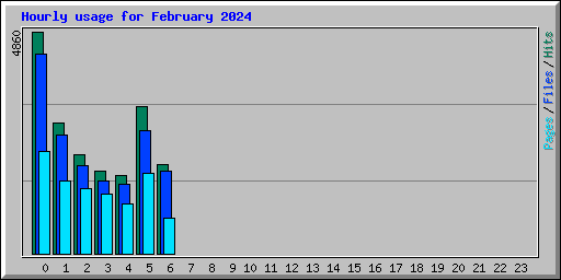 Hourly usage for February 2024