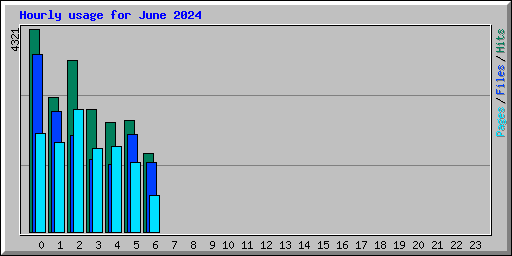 Hourly usage for June 2024